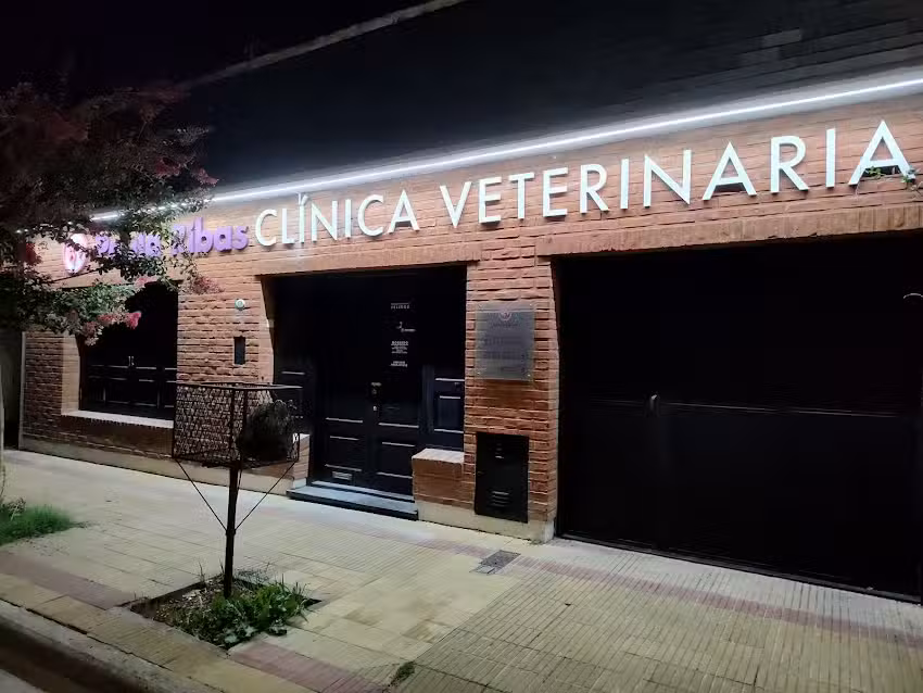 Cl&iacute;nica Veterinaria Paula Ribas