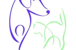 Cl&iacute;nica Veterinaria Payn&eacute; (Atenci&oacute;n S&oacute;lo con Turno Previo)