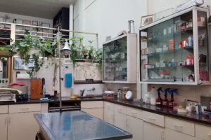 Cl&iacute;nica Veterinaria &ldquo;Perro Mundo&rdquo;