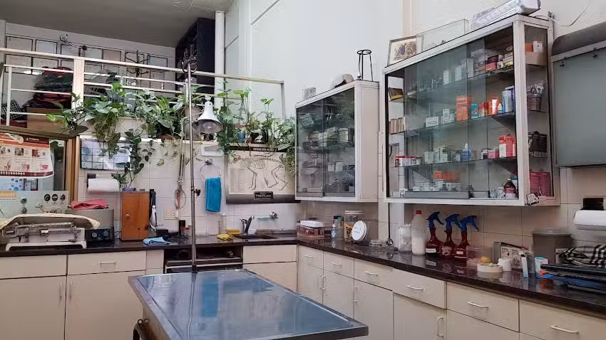 Cl&iacute;nica Veterinaria &ldquo;Perro Mundo&rdquo;