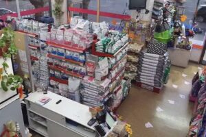 Clínica Veterinaria & Pet Danbar