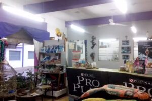 Clinica Veterinaria Pontoriero Daniel