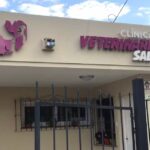 Clinica Veterinaria Salta