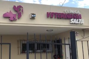 Clinica Veterinaria Salta