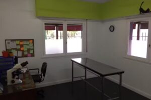 Cl&iacute;nica Veterinaria San Jorge