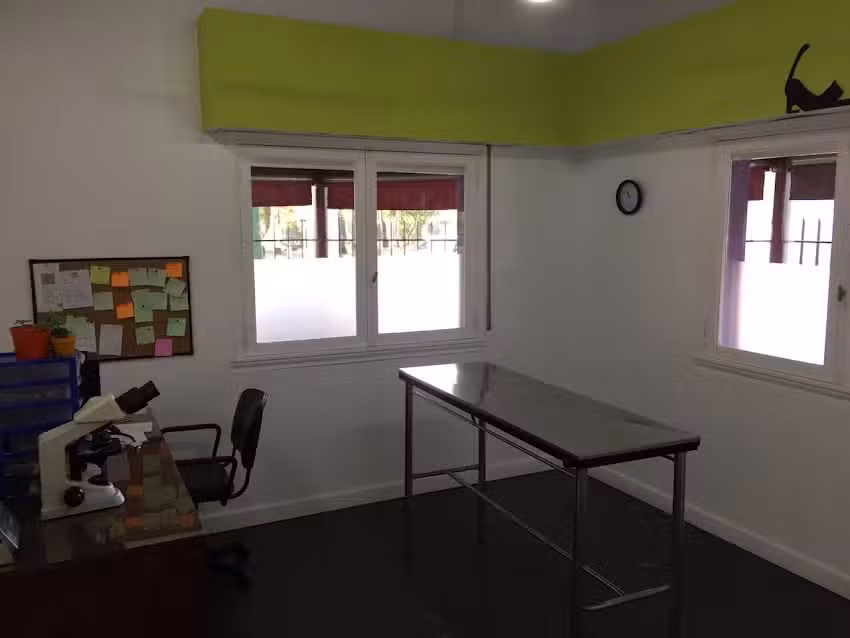 Cl&iacute;nica Veterinaria San Jorge