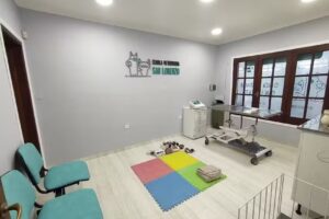 Cl&iacute;nica Veterinaria San Lorenzo