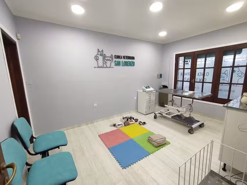 Cl&iacute;nica Veterinaria San Lorenzo
