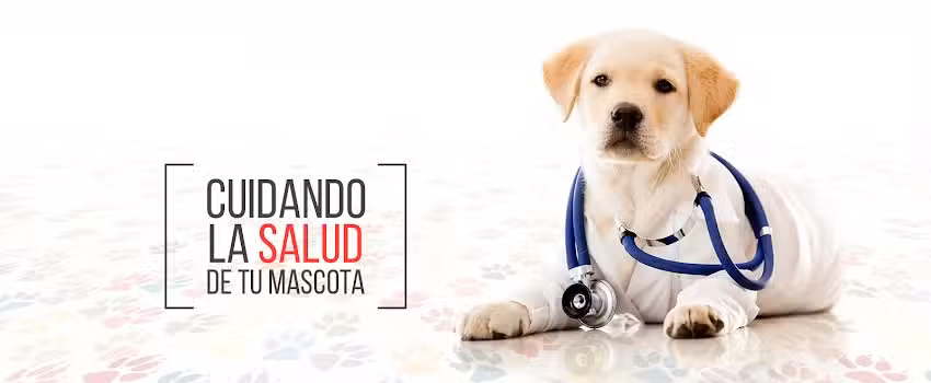 Cl&iacute;nica Veterinaria Santa Teresita &ndash; 32 a&ntilde;os de servicio