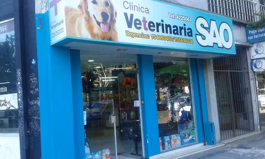 Cl&iacute;nica Veterinaria Sao