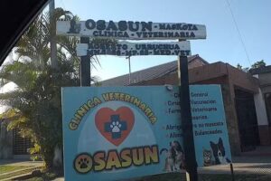 Clínica veterinaria Sasun Juan Bautista Bautista Alberdi