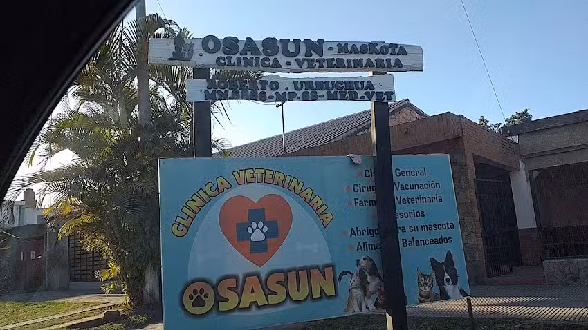 Cl&iacute;nica veterinaria Sasun Juan Bautista Bautista Alberdi