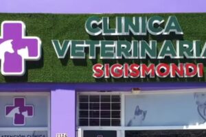 Cl&iacute;nica Veterinaria Sigismondi.
