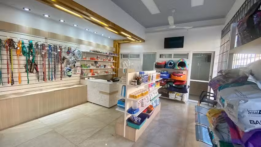 Cl&iacute;nica Veterinaria Sterpino &ndash; Cirug&iacute;a, traumatolog&iacute;a y neurocirug&iacute;a