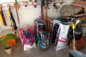 Cl&iacute;nica veterinaria Teckel