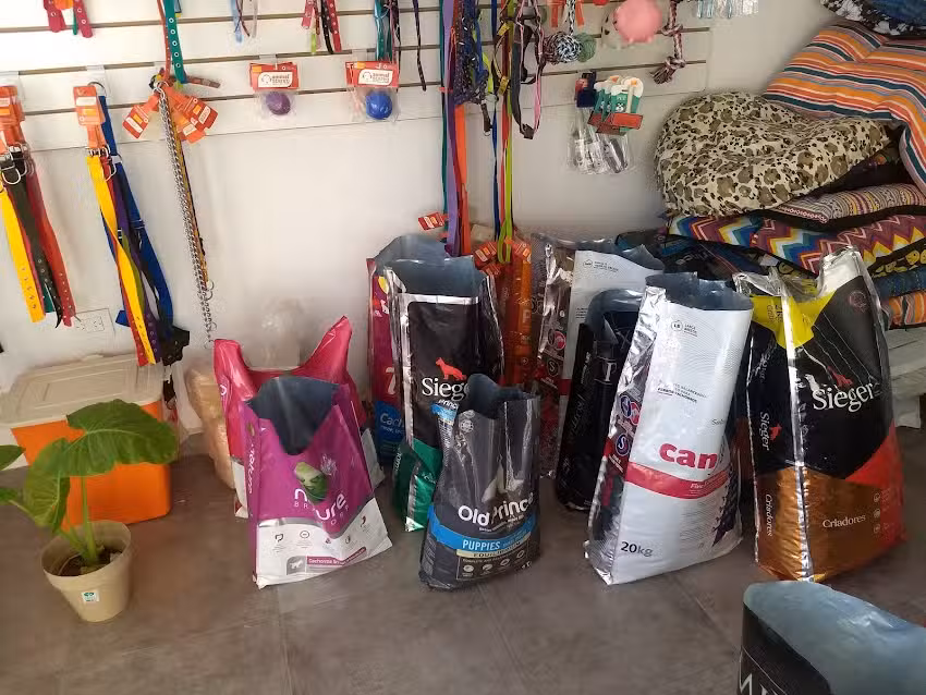 Cl&iacute;nica veterinaria Teckel