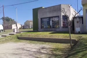 Cl&iacute;nica Veterinaria Veronesi