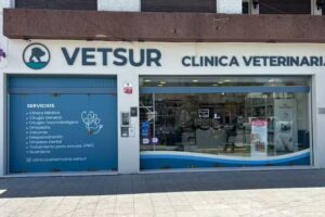 Clinica Veterinaria VETSUR