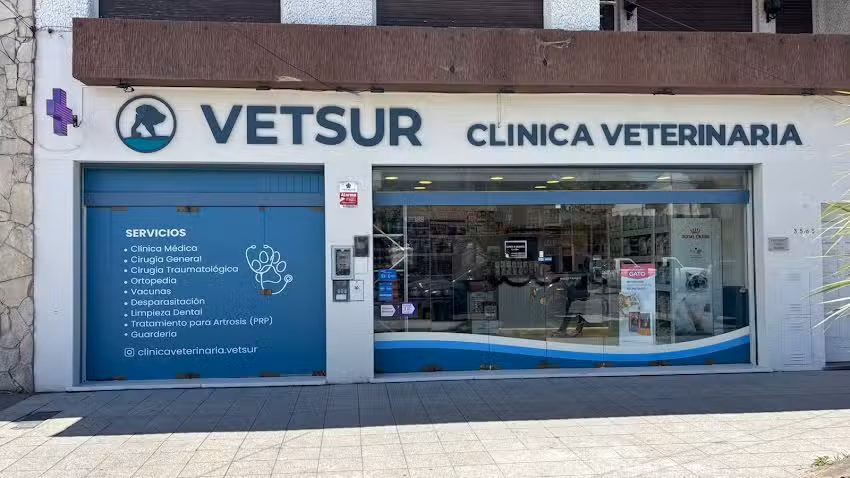 Clinica Veterinaria VETSUR