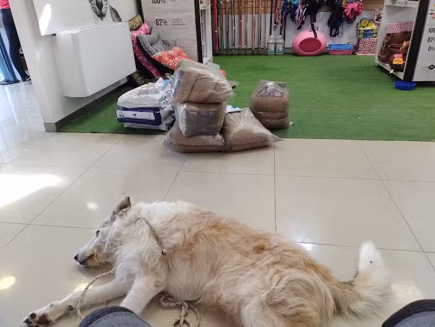 Clinica Veterinaria y Centro de Derivacion Fulan Cat Santa Rosa