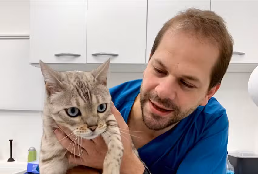 Cl&iacute;nica Vetoncologia