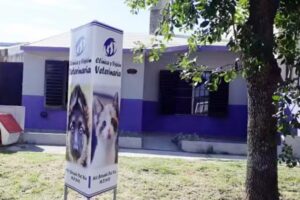 Cl&iacute;nica y Visi&oacute;n Veterinaria