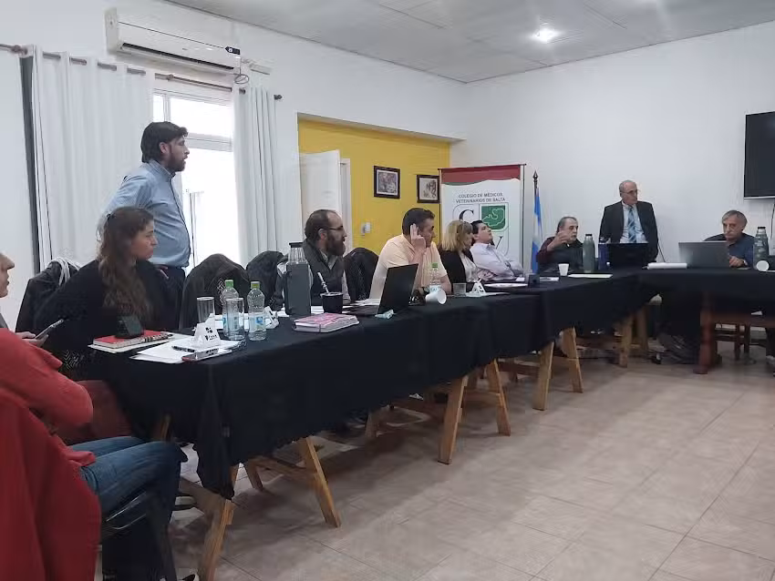 Colegio De Medicos Veterinarios