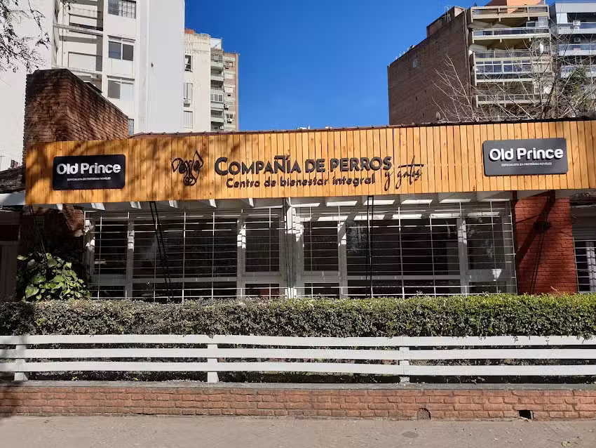 Compa&ntilde;&iacute;a de perros y gatos