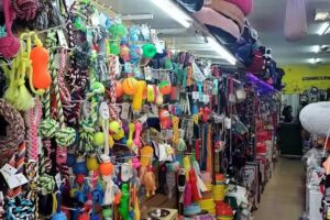 Company PetShop Belgrano