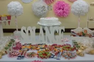 Consejo Profesional de M&eacute;dicos Veterinarios Corrientes