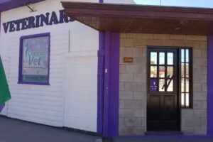 CONSUL VET Consultorio Veterinario