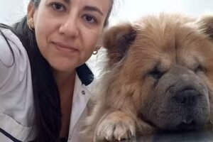 Consultorio Cl&iacute;nico Veterinario del Alma