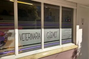 Consultorio Ecográfico Veterinario Güemes