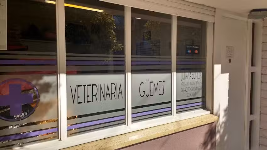 Consultorio Ecogr&aacute;fico Veterinario G&uuml;emes
