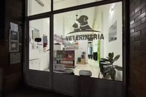 Consultorio Veterinario