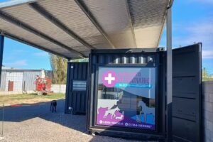 Consultorio Veterinario