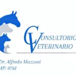 Consultorio veterinario