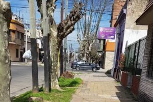 Consultorio Veterinario