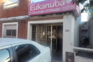 Consultorio Veterinario