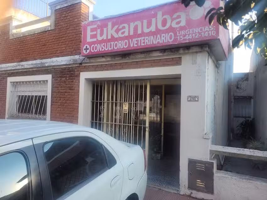 Consultorio Veterinario