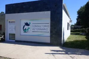 Consultorio veterinario