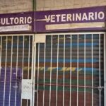 Consultorio veterinario