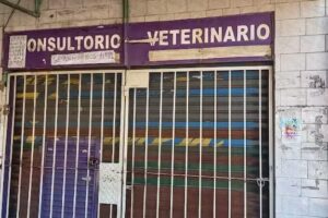 Consultorio veterinario