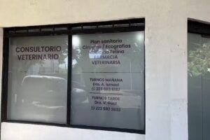 Consultorio Veterinario