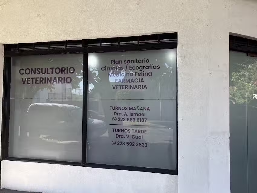 Consultorio Veterinario