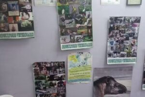 Consultorio Veterinario