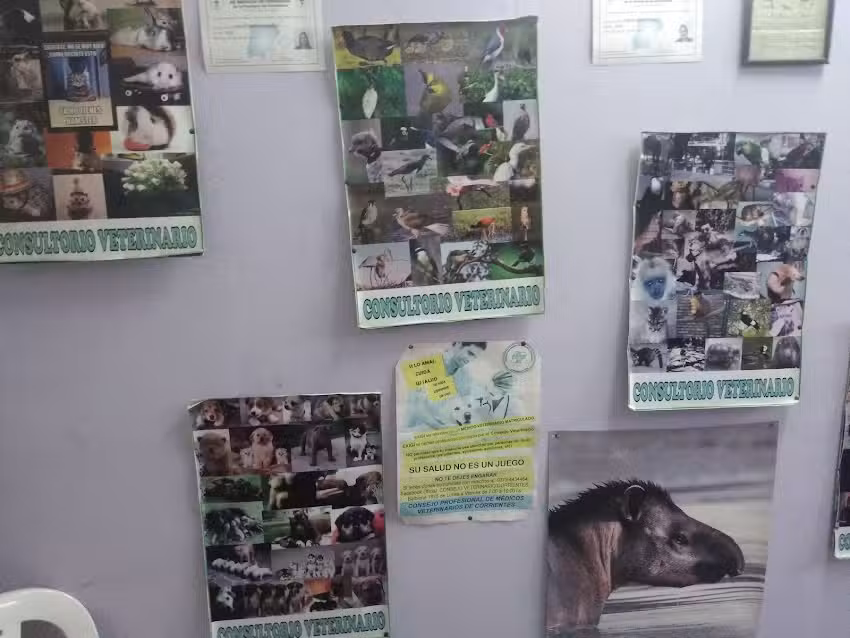 Consultorio Veterinario