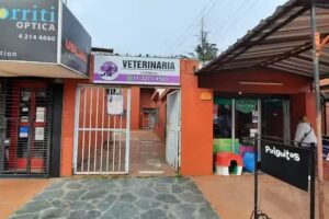 Consultorio Veterinario Burzaco