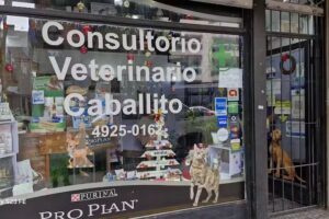 Consultorio Veterinario Caballito