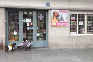 Consultorio Veterinario Colegiales